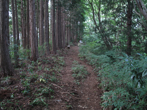 20171005hike (234)